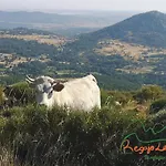 Regajo Lobos Holiday home San Bartolome de Bejar