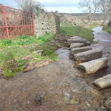 Feriehus Regajo Lobos
