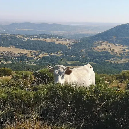 Regajo Lobos Feriehus San Bartolome de Bejar
