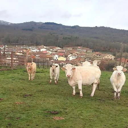 Feriehus Regajo Lobos *