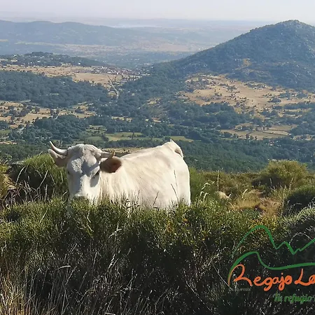 Regajo Lobos 別荘 San Bartolome de Bejar