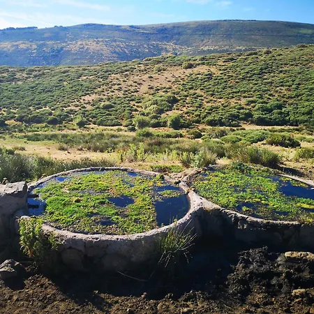 Feriehus Regajo Lobos San Bartolome de Bejar