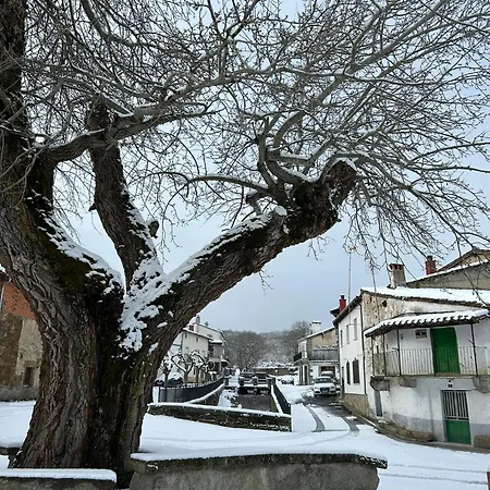 Regajo Lobos Lantställe San Bartolome de Bejar