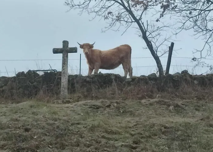 Сasa de vacaciones Regajo Lobos