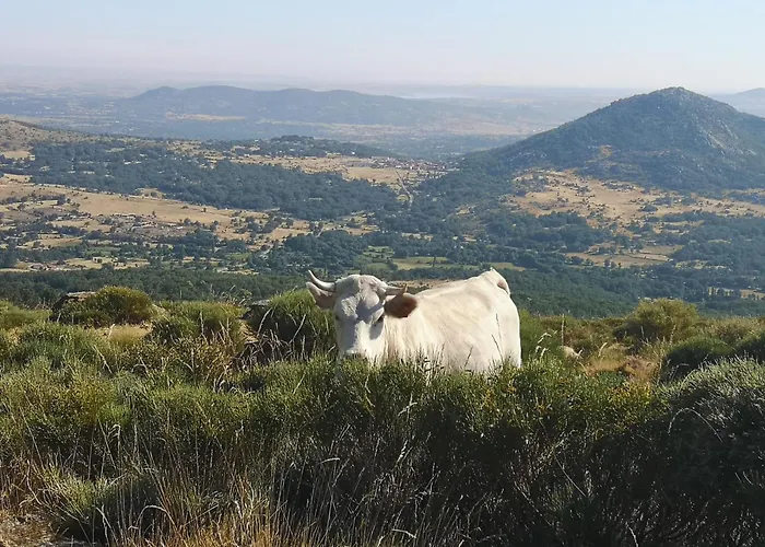 Regajo Lobos Сasa de vacaciones San Bartolome de Bejar