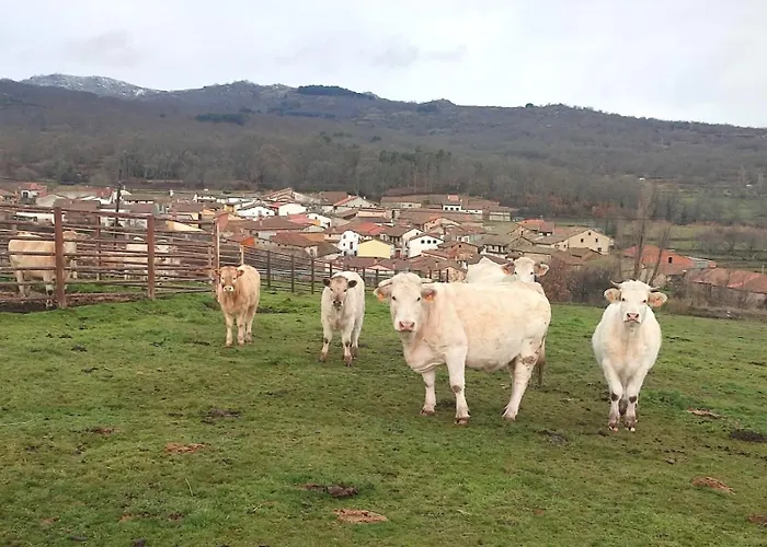 Сasa de vacaciones Regajo Lobos *