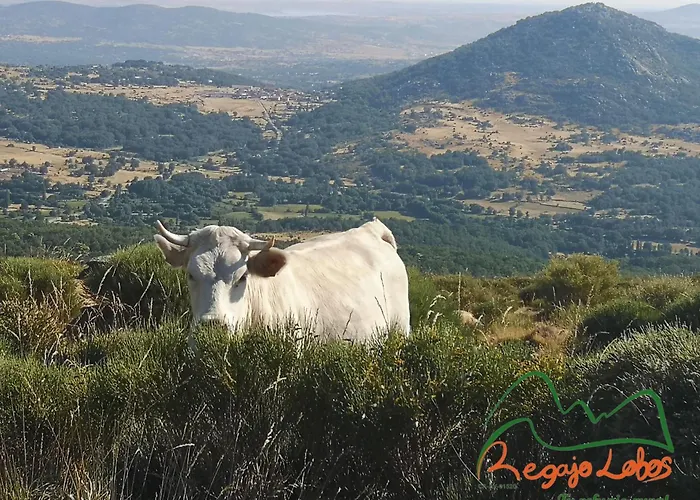 Regajo Lobos Сasa de vacaciones San Bartolome de Bejar